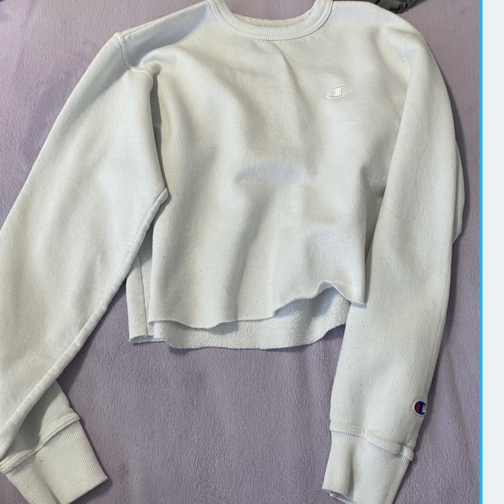 Champion cropped sweater